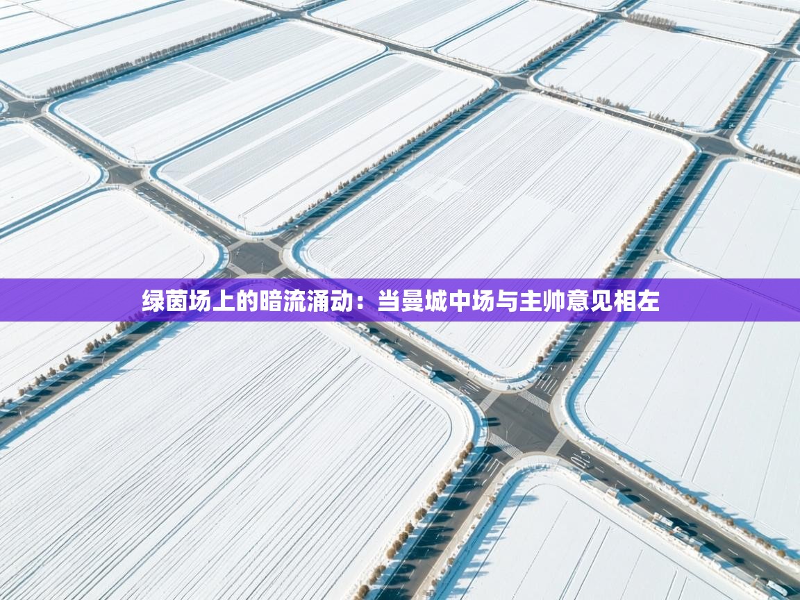 绿茵场上的暗流涌动：当曼城中场与主帅意见相左  第1张