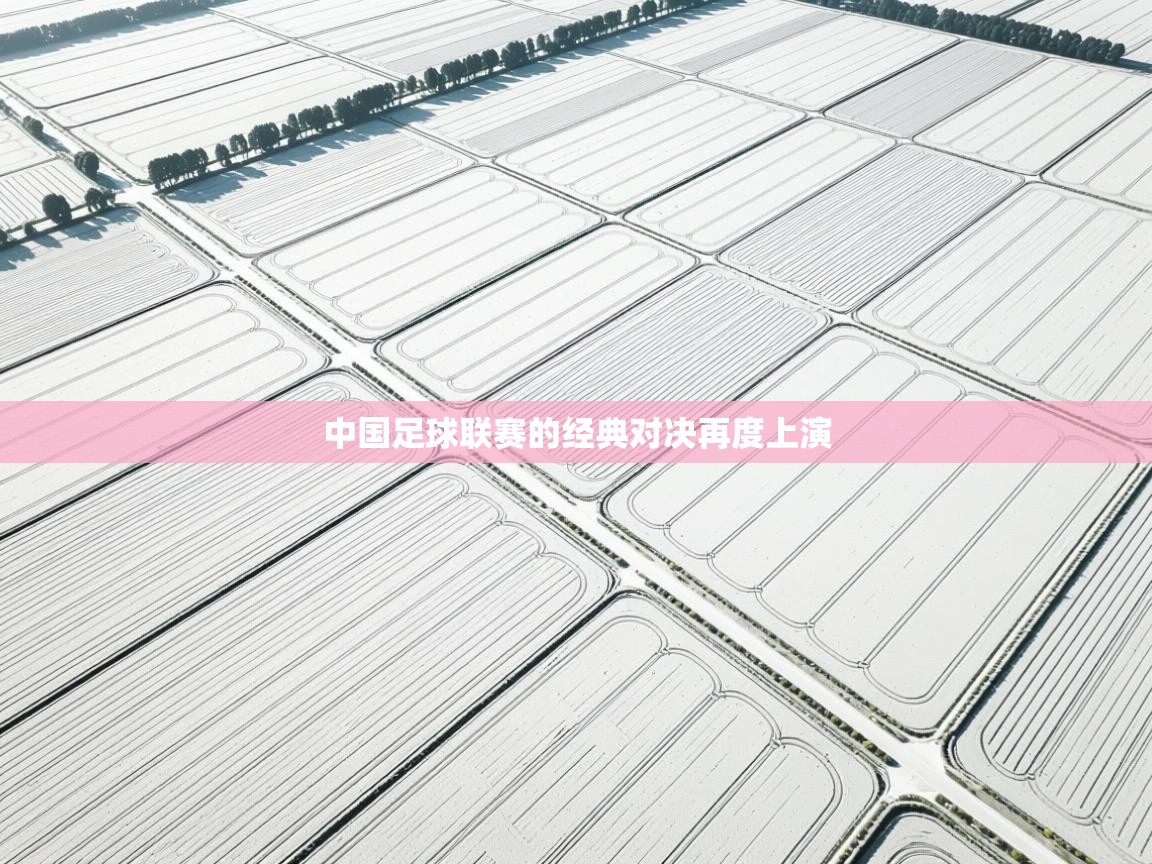 中国足球联赛的经典对决再度上演  第1张