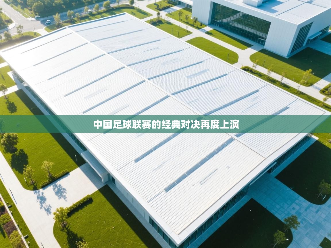 中国足球联赛的经典对决再度上演  第2张