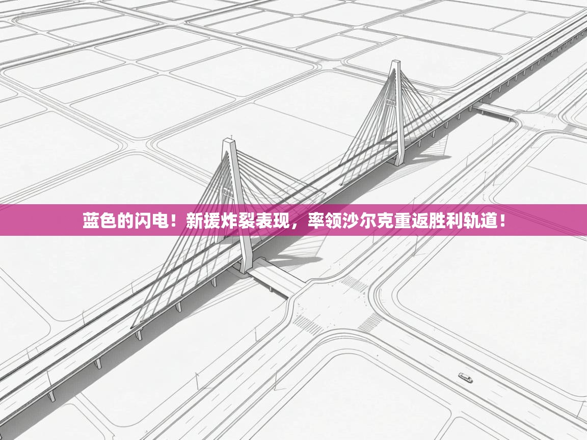 蓝色的闪电！新援炸裂表现，率领沙尔克重返胜利轨道！  第2张